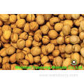 hot sale goods Walnut Kernels Light Pieces